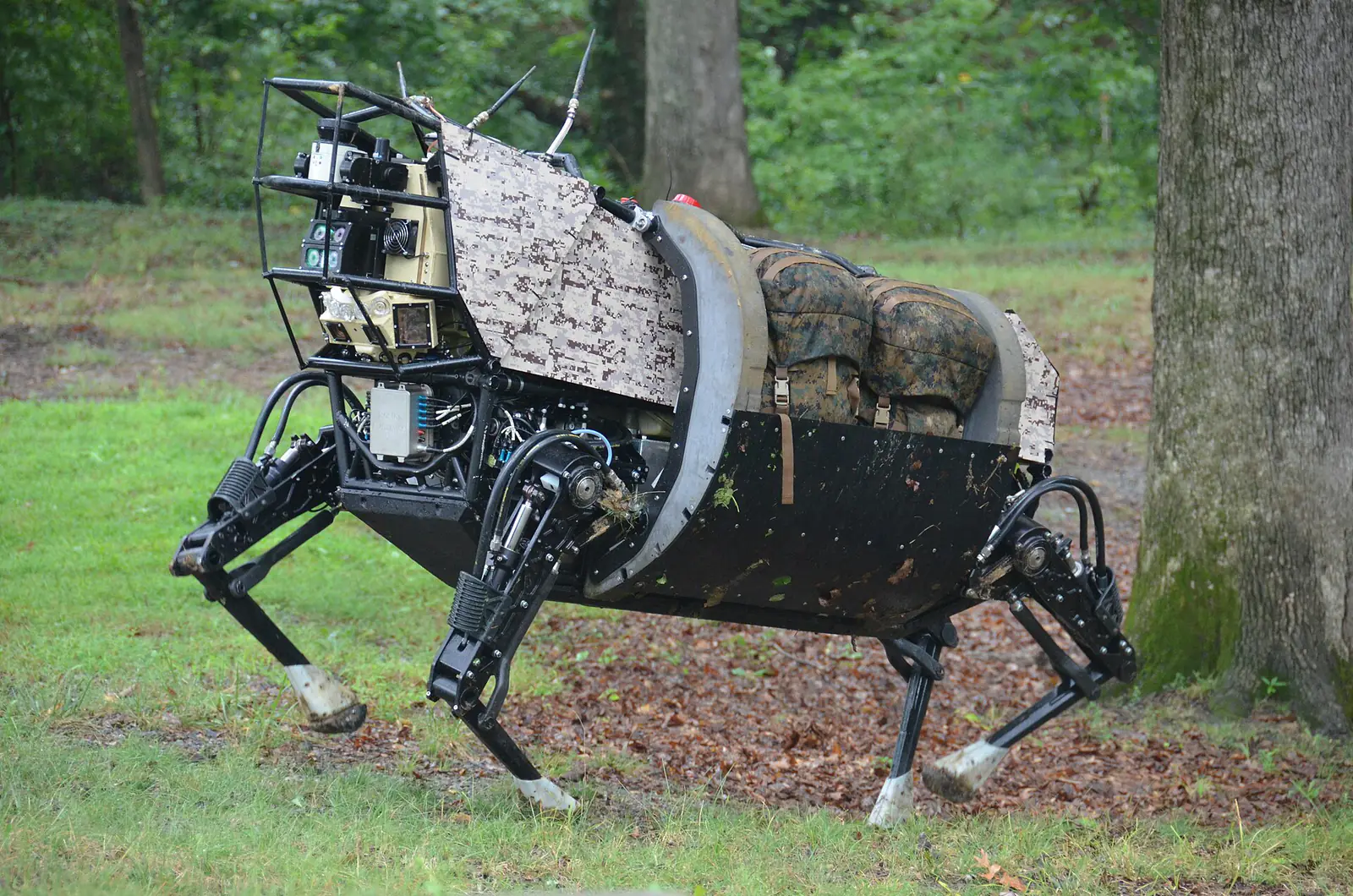 A four-legged robot prototype walking outdoors